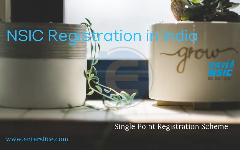 NSIC Registration Online